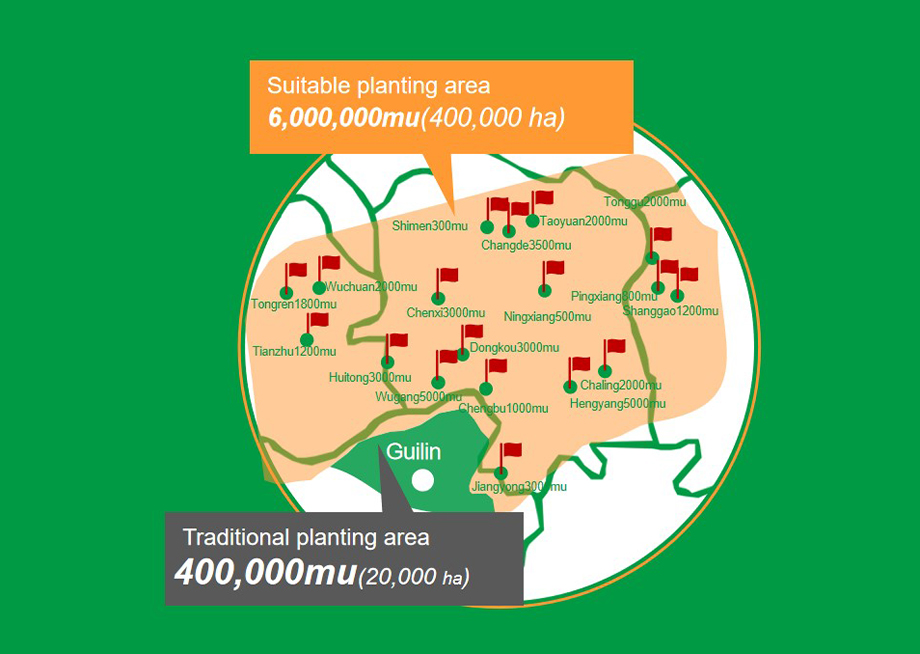 GAP Certified Raw Material Planting Base - WISC Biotech Co.,Ltd.