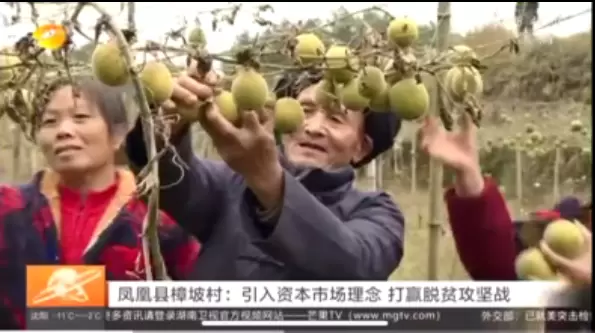 Sweet Industry Poverty Alleviation Award for WISC Biotech Co.,Ltd.