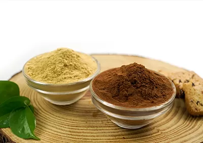 Instant Black Tea Powder Manufacturer - WISC Biotech Co.,Ltd.