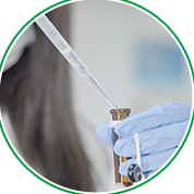 Rigorous Quality Control QC Lab Testing - WISC Biotech Co.,Ltd.